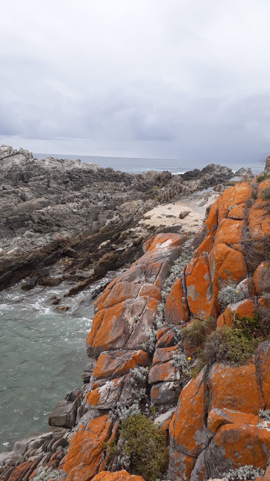 Commercial Property for Sale in Eersterivierstrand Eastern Cape